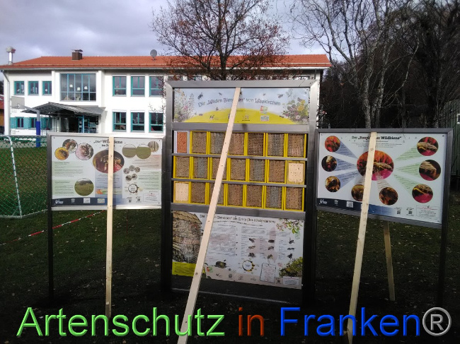 Bild zum Eintrag (1037963-160)