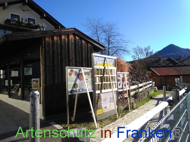 © Artenschutz in Franken® Bild zum Eintrag (1038023-160)