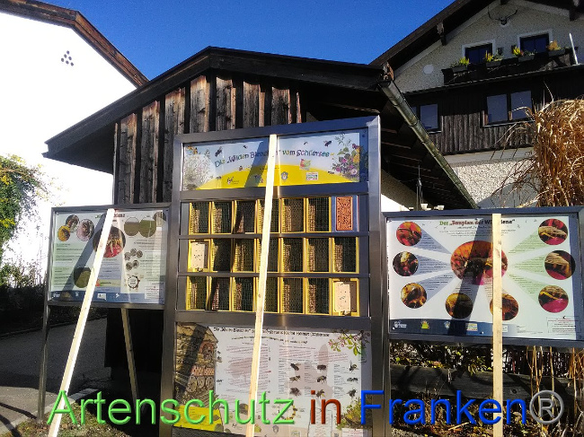 © Artenschutz in Franken® Bild zum Eintrag (1038025-160)