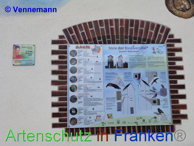 © Artenschutz in Franken® / Vennenmann Bild zum Eintrag (1038532-160)