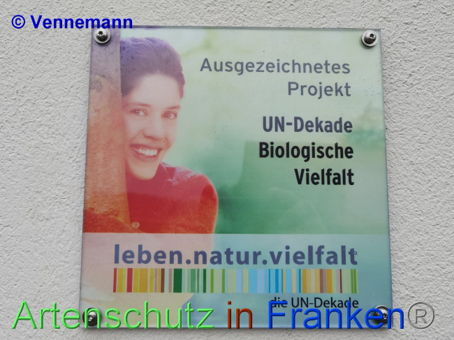 © Artenschutz in Franken® / Vennenmann Bild zum Eintrag (1038534-160)