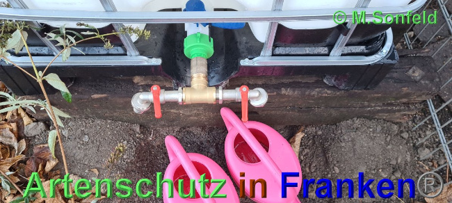 © Artenschutz in Franken® / Michael Sonfeld Bild zum Eintrag (1038893-160)