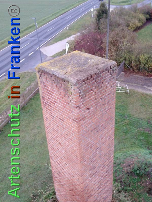 © Artenschutz in Franken® Bild zum Eintrag (1038941-160)