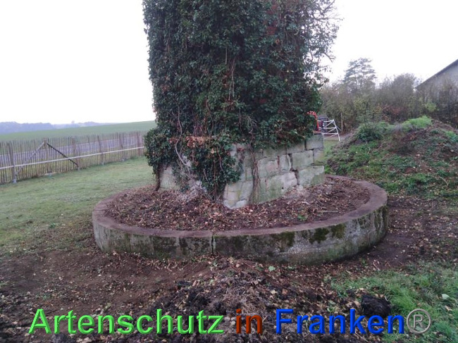 Bild zum Eintrag (1038961-160)