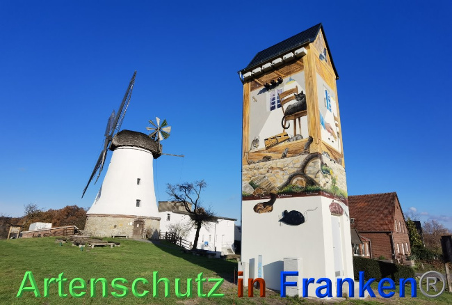 © Artenschutz in Franken® / Vennenmann Bild zum Eintrag (1038991-160)