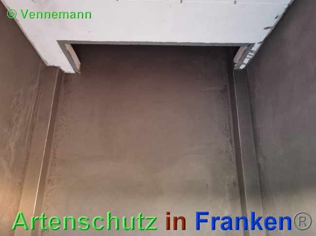 © Artenschutz in Franken® / Vennenmann Bild zum Eintrag (1038995-160)