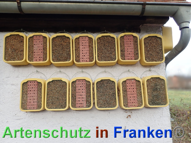 © Artenschutz in Franken® Bild zum Eintrag (1039086-160)