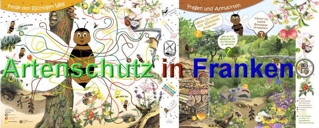 © Artenschutz in Franken® Bild zum Eintrag (1039392-160)