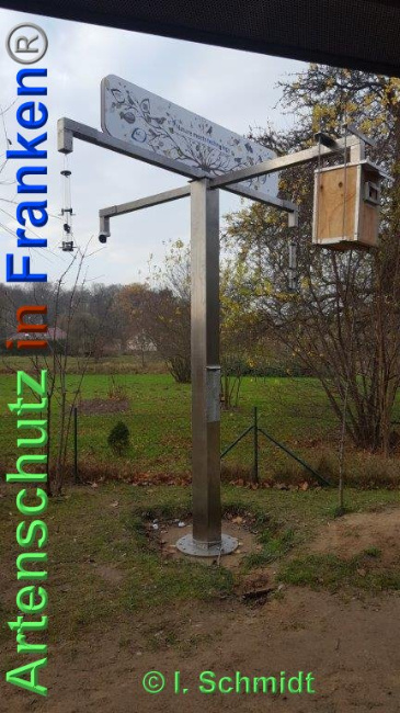 © Artenschutz in Franken® Bild zum Eintrag (1039551-160)