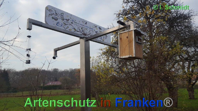 © Artenschutz in Franken® Bild zum Eintrag (1039552-160)