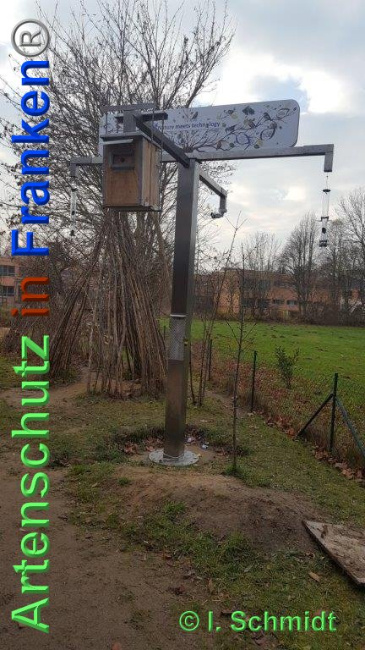© Artenschutz in Franken® Bild zum Eintrag (1039553-160)