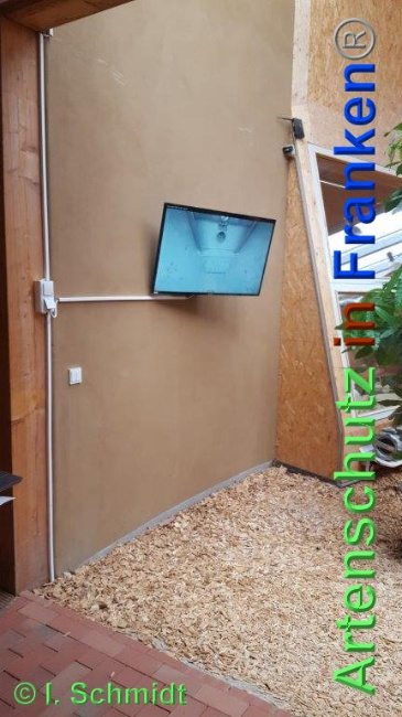 © Artenschutz in Franken® Bild zum Eintrag (1039554-160)
