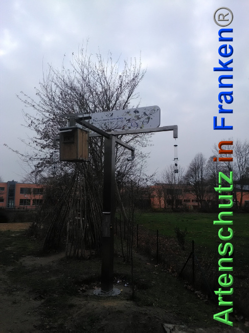 © Artenschutz in Franken® Bild zum Eintrag (1039556-160)