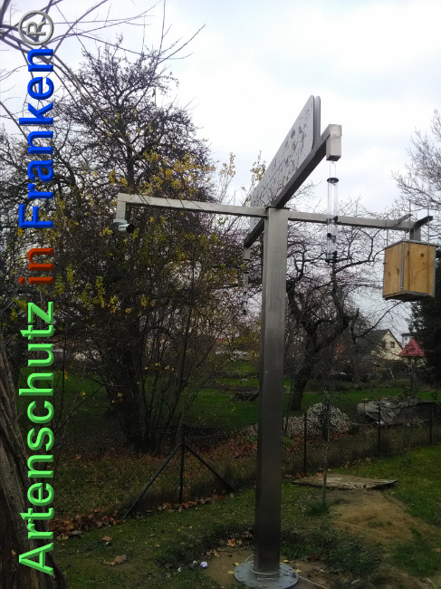 © Artenschutz in Franken® Bild zum Eintrag (1039558-160)
