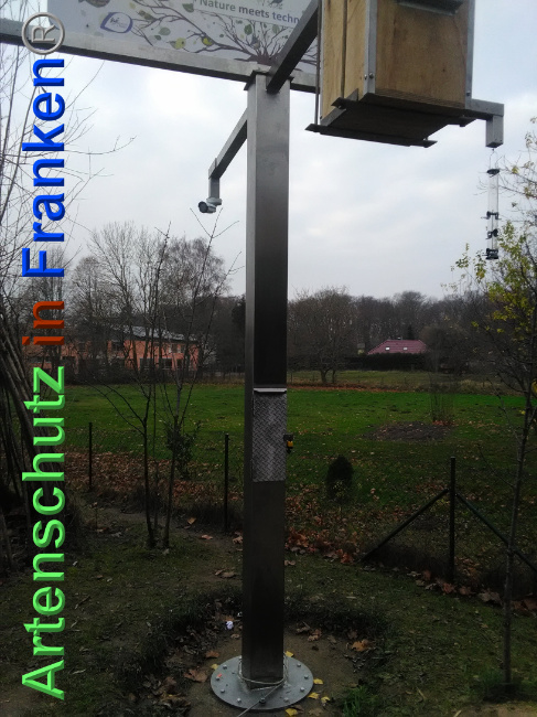 © Artenschutz in Franken® Bild zum Eintrag (1039560-160)