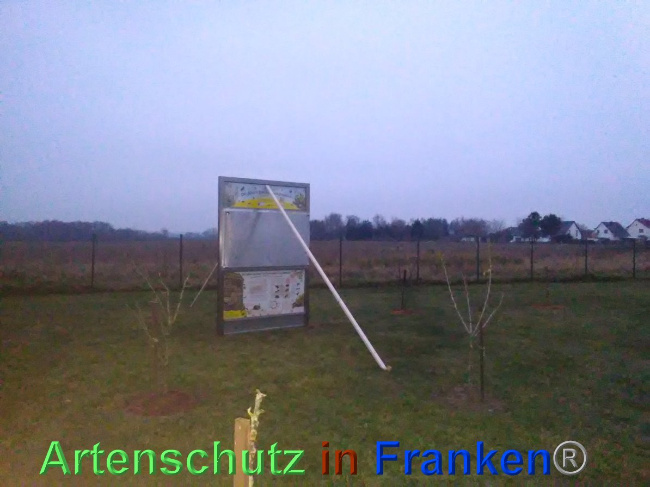 © Artenschutz in Franken® Bild zum Eintrag (1039565-160)