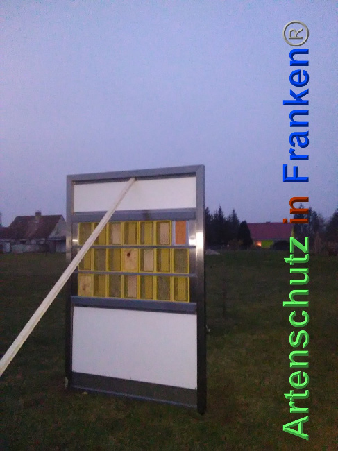 © Artenschutz in Franken® Bild zum Eintrag (1039566-160)