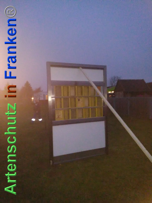 © Artenschutz in Franken® Bild zum Eintrag (1039567-160)