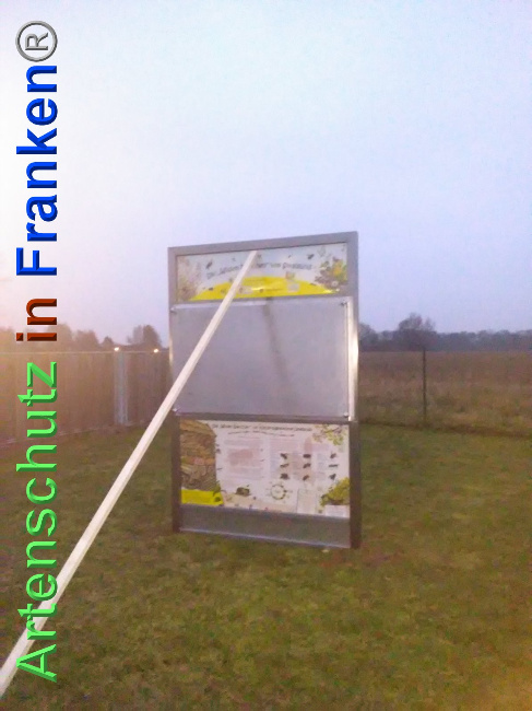 © Artenschutz in Franken® Bild zum Eintrag (1039568-160)