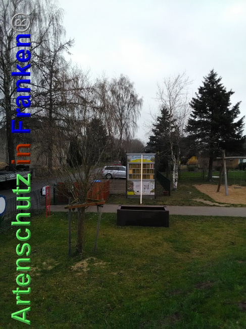 © Artenschutz in Franken® Bild zum Eintrag (1039632-160)