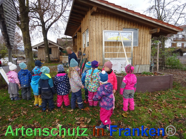 © Artenschutz in Franken® Bild zum Eintrag (1039680-160)