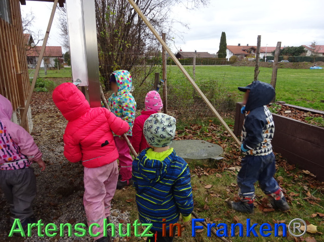 © Artenschutz in Franken® Bild zum Eintrag (1039681-160)