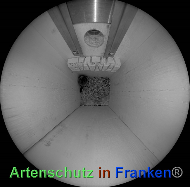 Bild zum Eintrag (1039849-160)
