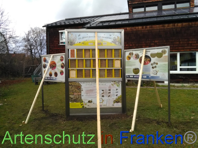 © Artenschutz in Franken® Bild zum Eintrag (1040035-160)