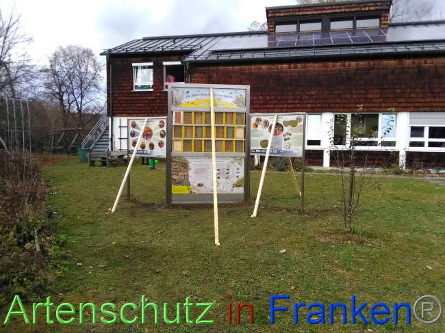 © Artenschutz in Franken® Bild zum Eintrag (1040038-160)
