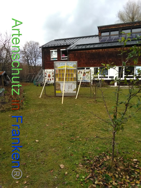 © Artenschutz in Franken® Bild zum Eintrag (1040042-160)