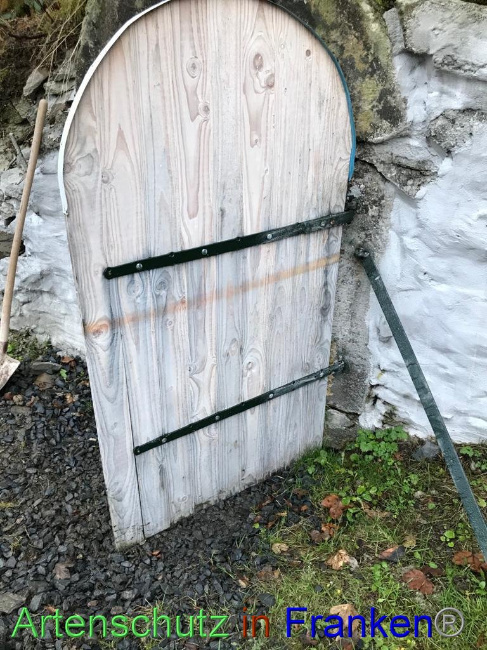 © Artenschutz in Franken® Bild zum Eintrag (1040547-160)