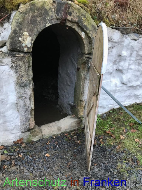 © Artenschutz in Franken® Bild zum Eintrag (1040548-160)