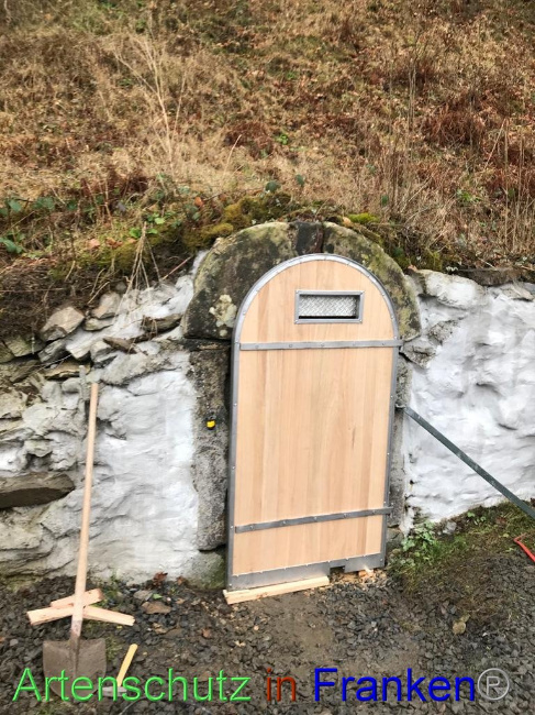 © Artenschutz in Franken® Bild zum Eintrag (1040550-160)