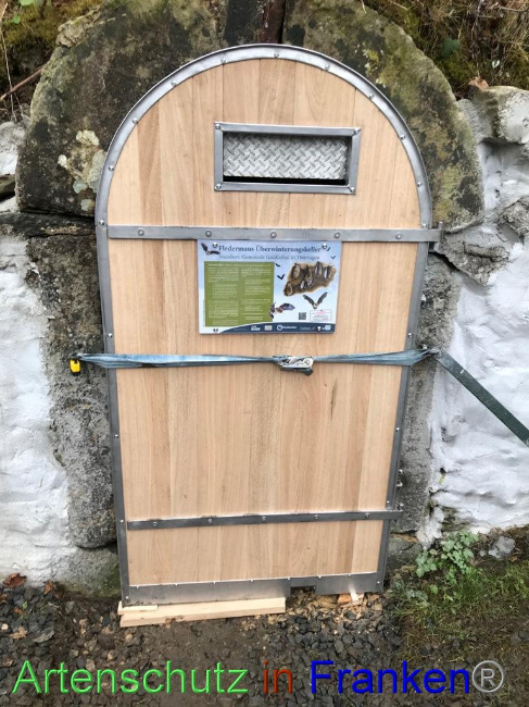 © Artenschutz in Franken® Bild zum Eintrag (1040553-160)