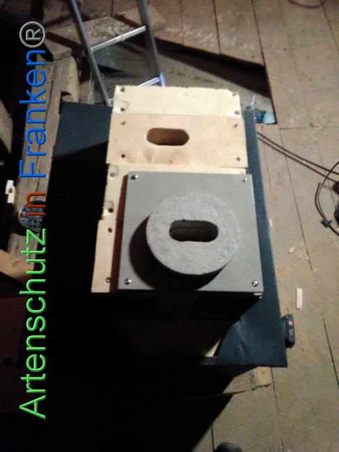 © Artenschutz in Franken® Bild zum Eintrag (1040676-160)