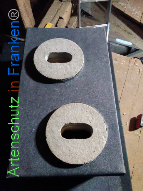 © Artenschutz in Franken® Bild zum Eintrag (1040717-160)