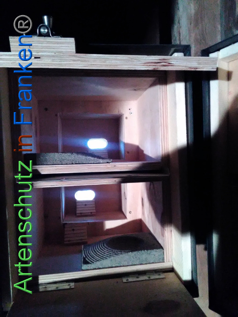© Artenschutz in Franken® Bild zum Eintrag (1040720-160)