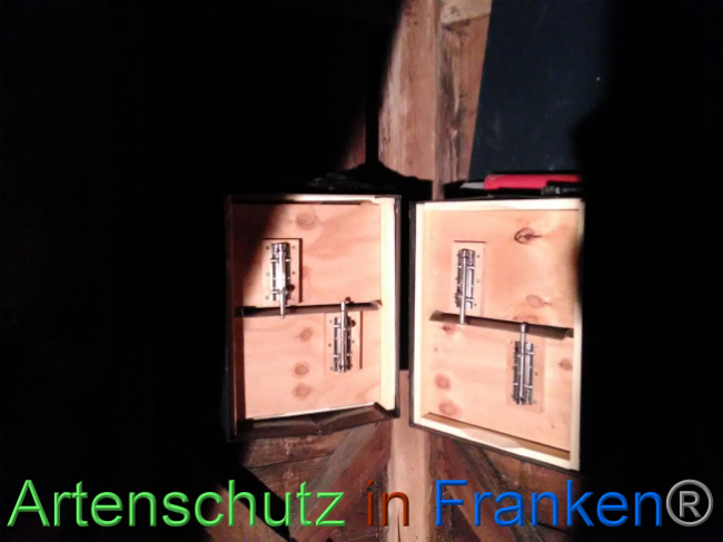 © Artenschutz in Franken® Bild zum Eintrag (1040721-160)