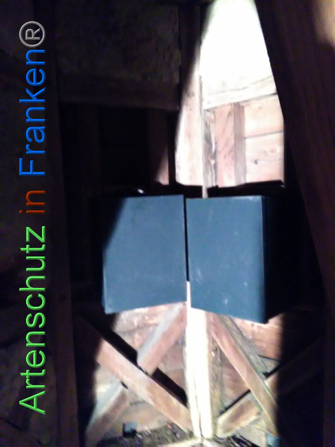 © Artenschutz in Franken® Bild zum Eintrag (1040725-160)