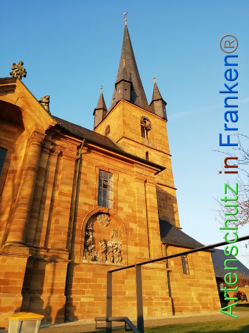 © Artenschutz in Franken® Bild zum Eintrag (1040734-160)