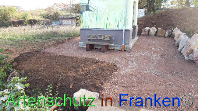 © Artenschutz in Franken® / Eckes Bild zum Eintrag (1040816-160)