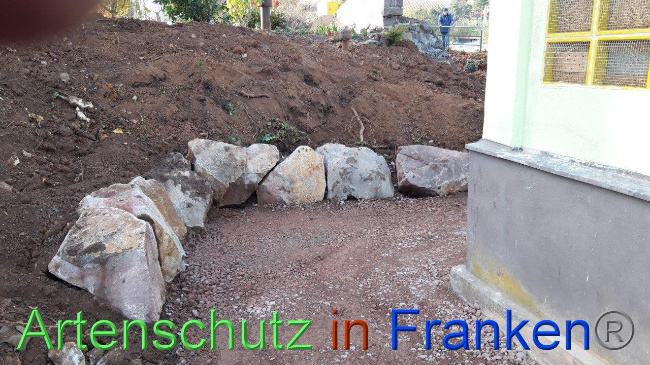 © Artenschutz in Franken® / Eckes Bild zum Eintrag (1040817-160)