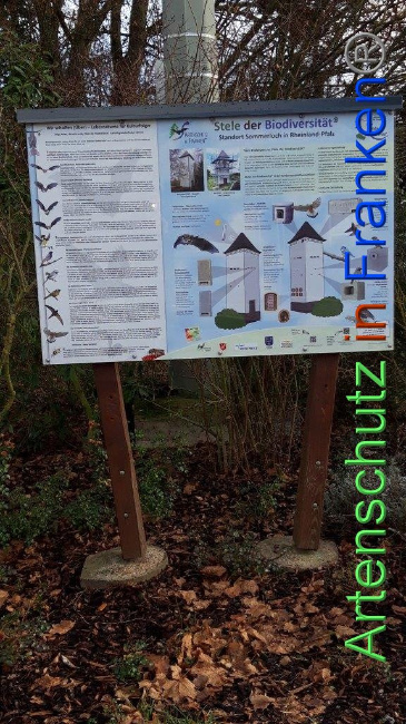 © Artenschutz in Franken® / Eckes Bild zum Eintrag (1040825-160)