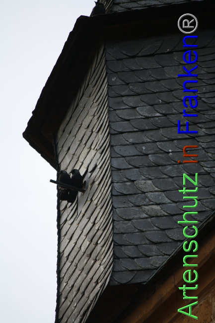 © Artenschutz in Franken® Bild zum Eintrag (1040897-160)
