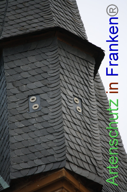 © Artenschutz in Franken® Bild zum Eintrag (1040901-160)