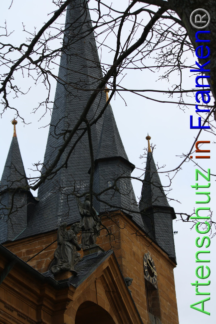 © Artenschutz in Franken® Bild zum Eintrag (1040904-160)
