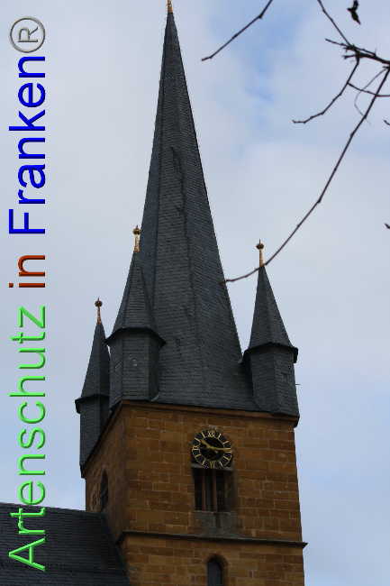 © Artenschutz in Franken® Bild zum Eintrag (1040908-160)