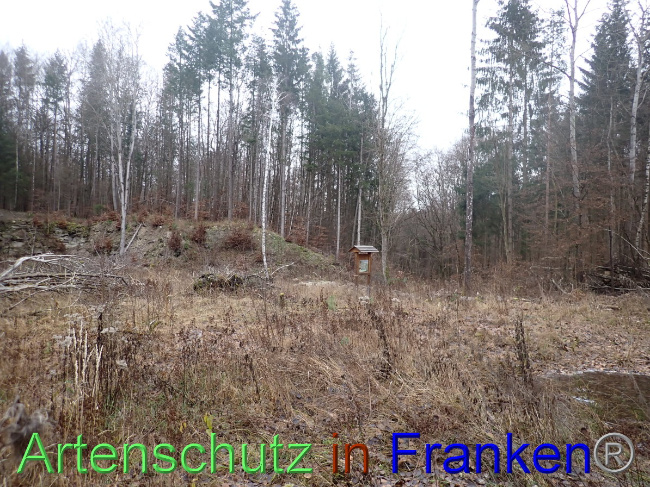 © Artenschutz in Franken® Bild zum Eintrag (1041227-160)