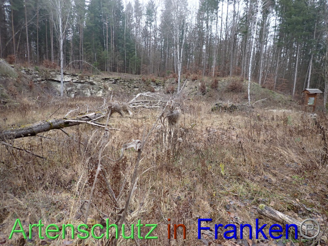 © Artenschutz in Franken® Bild zum Eintrag (1041233-160)