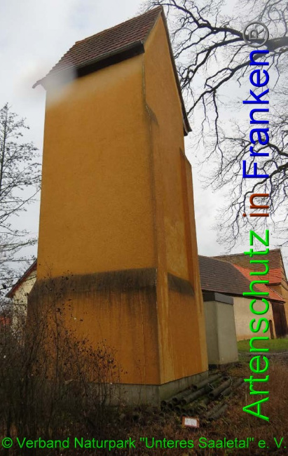 © Artenschutz in Franken® / © Verband Naturpark "Unteres Saaletal" e. V. Bild zum Eintrag (1042467-160)